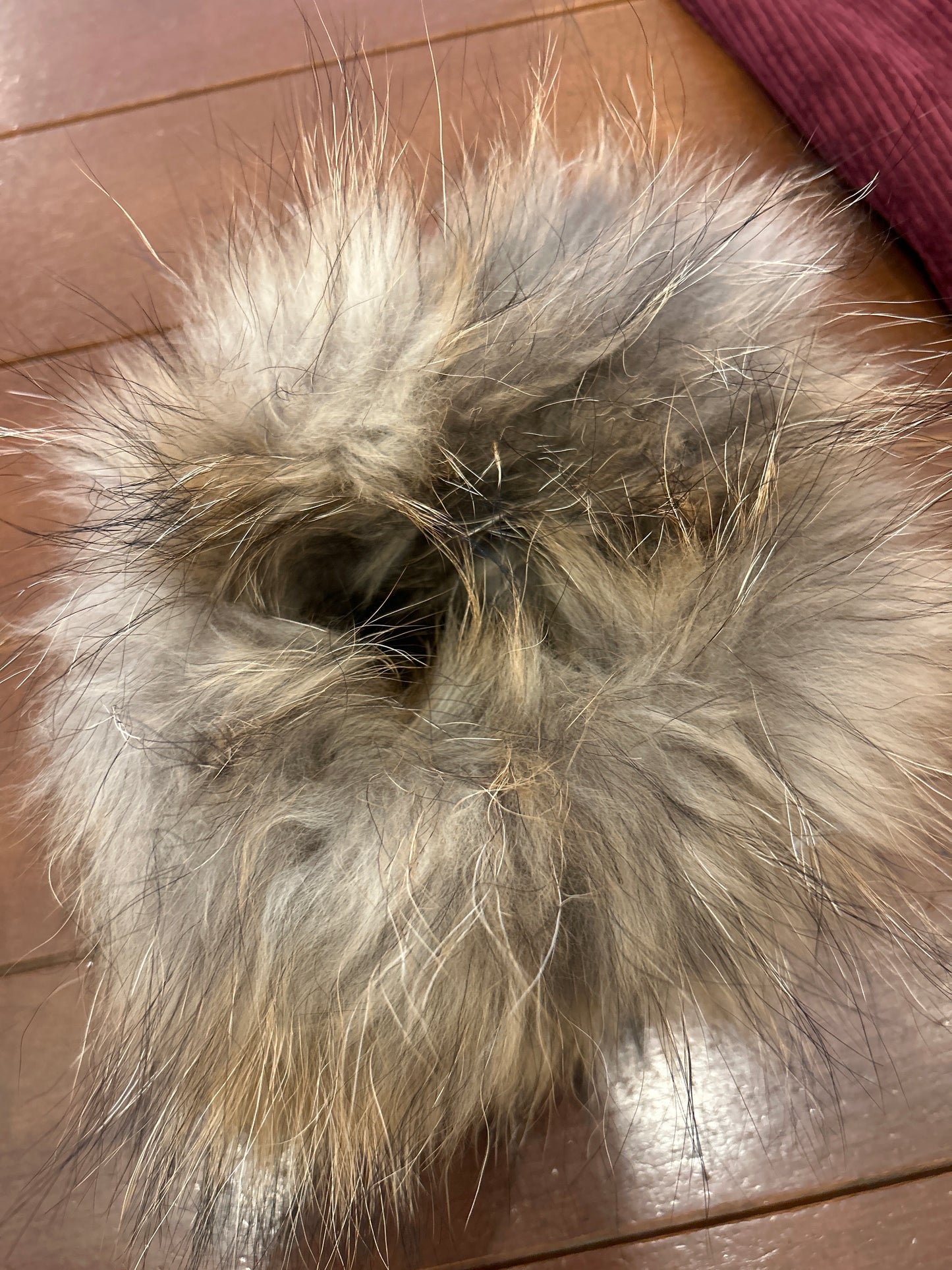 CUELLO ELASTICO ZORRO